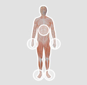 Los parches Sor Zapatero